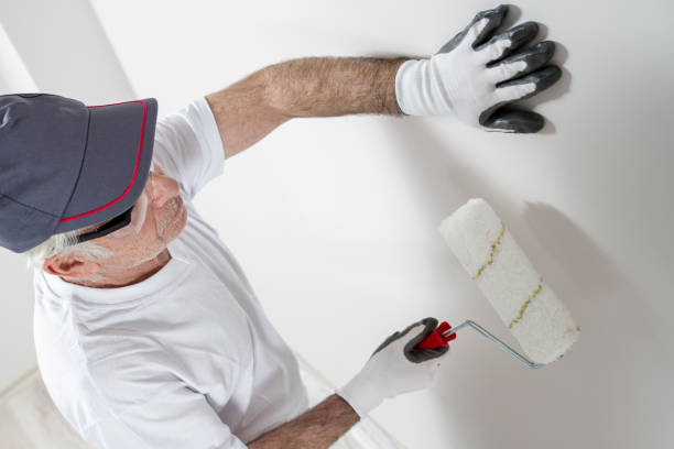 Best Drywall Sanding and Smoothing  in Sweeny, TX