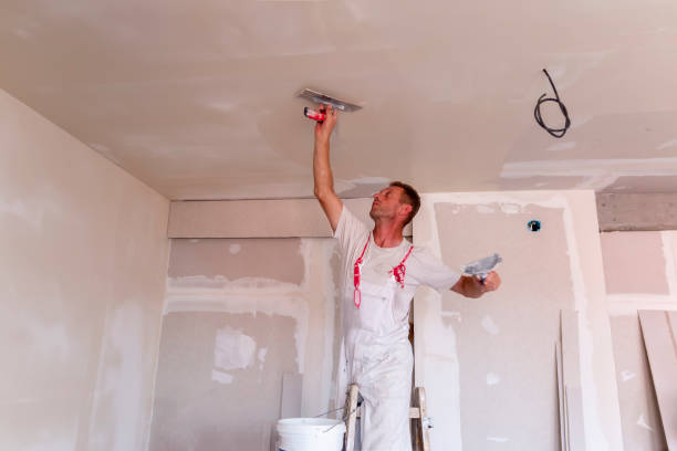 Best Drywall for New Construction  in Sweeny, TX