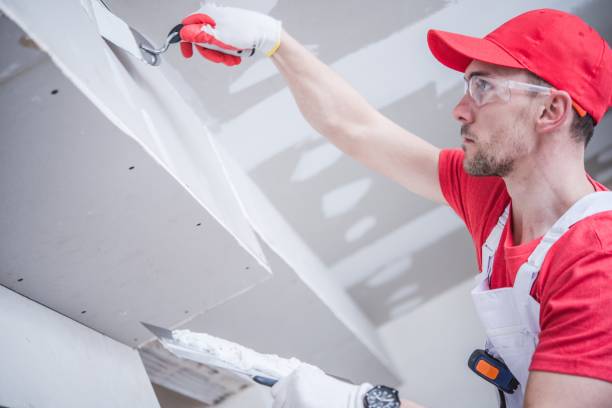 Best Ceiling Drywall Installation  in Sweeny, TX